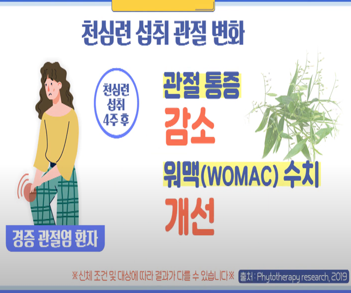 파렉틴 - 관절 통증 감소&amp;#44; 워맥 수치 개선