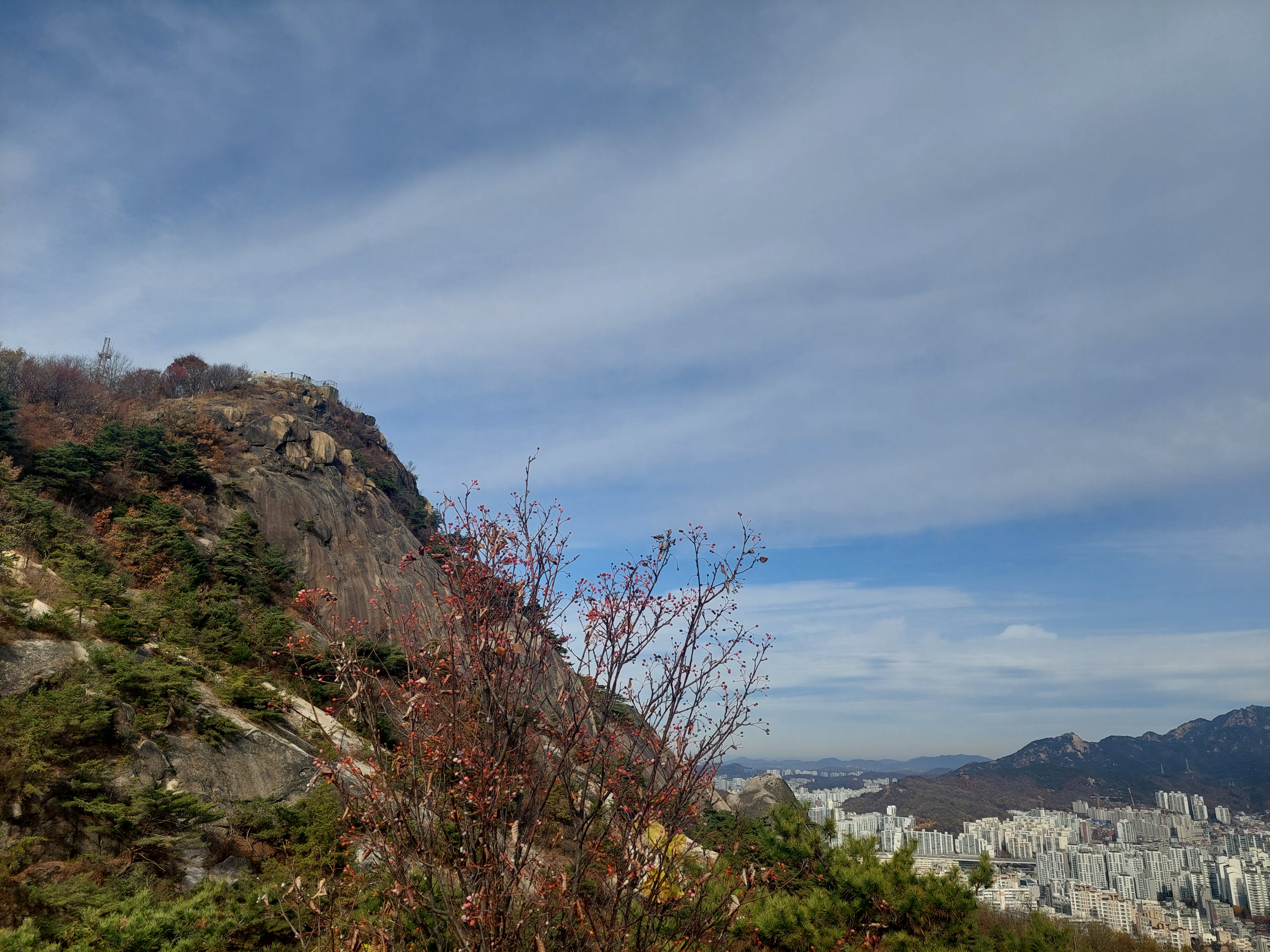 안산