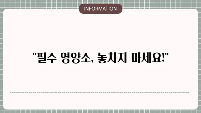 종합비타민 순위 추천 목록