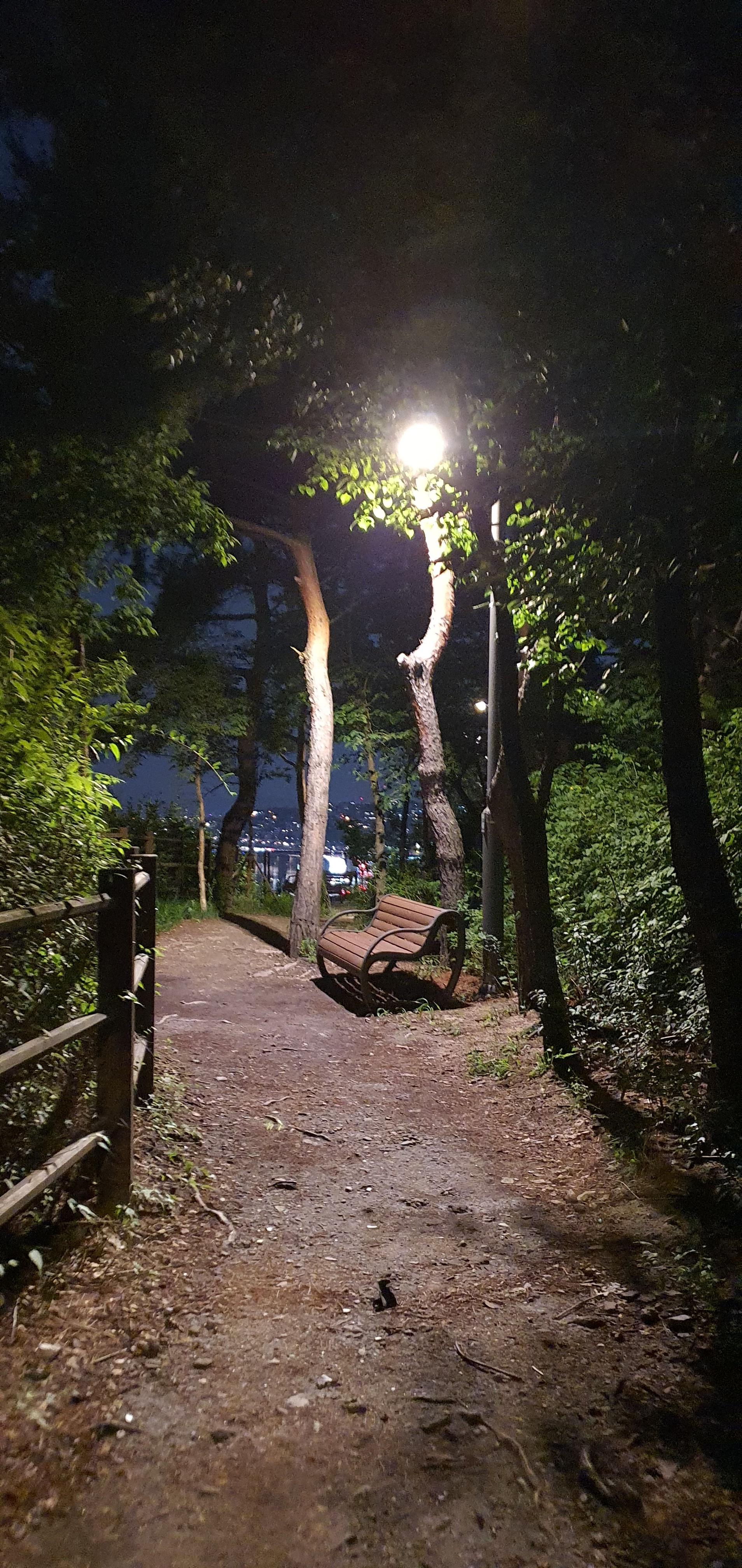 응봉산팔각정-가는길