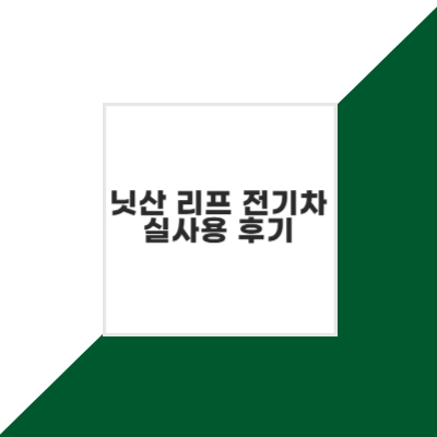 닛산 리프 전기차 실사용 후기