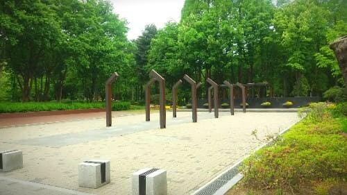 양재-시민의숲-야외-예식장