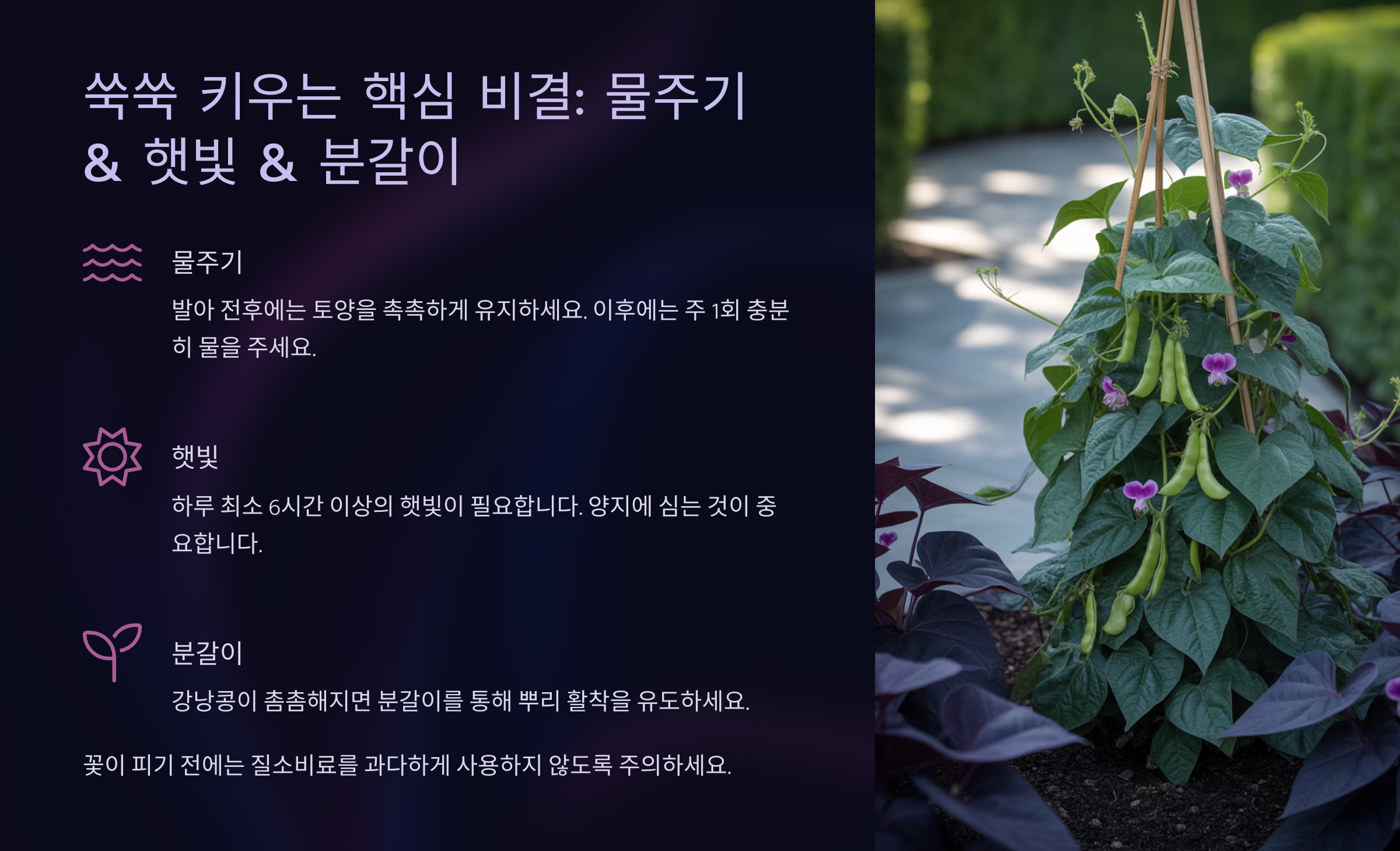 쑥쑥 키우는 핵심 비결: 물주기 &amp; 햇빛 &amp; 분갈이 ☀💧