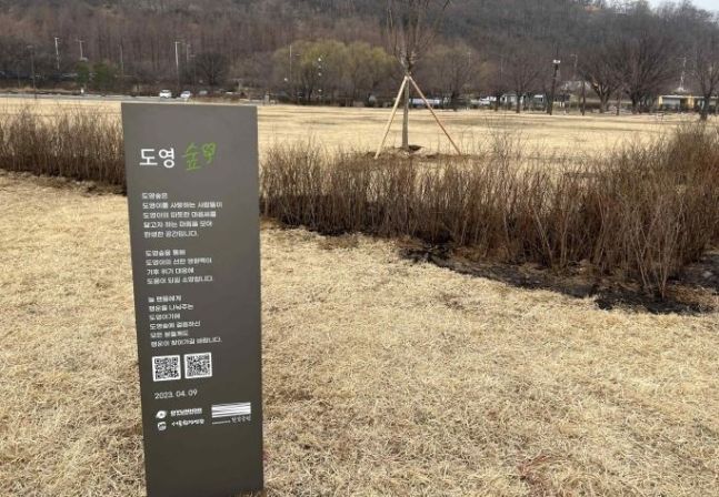 도영숲