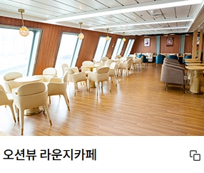 울릉도 배편시간표 울릉크루즈