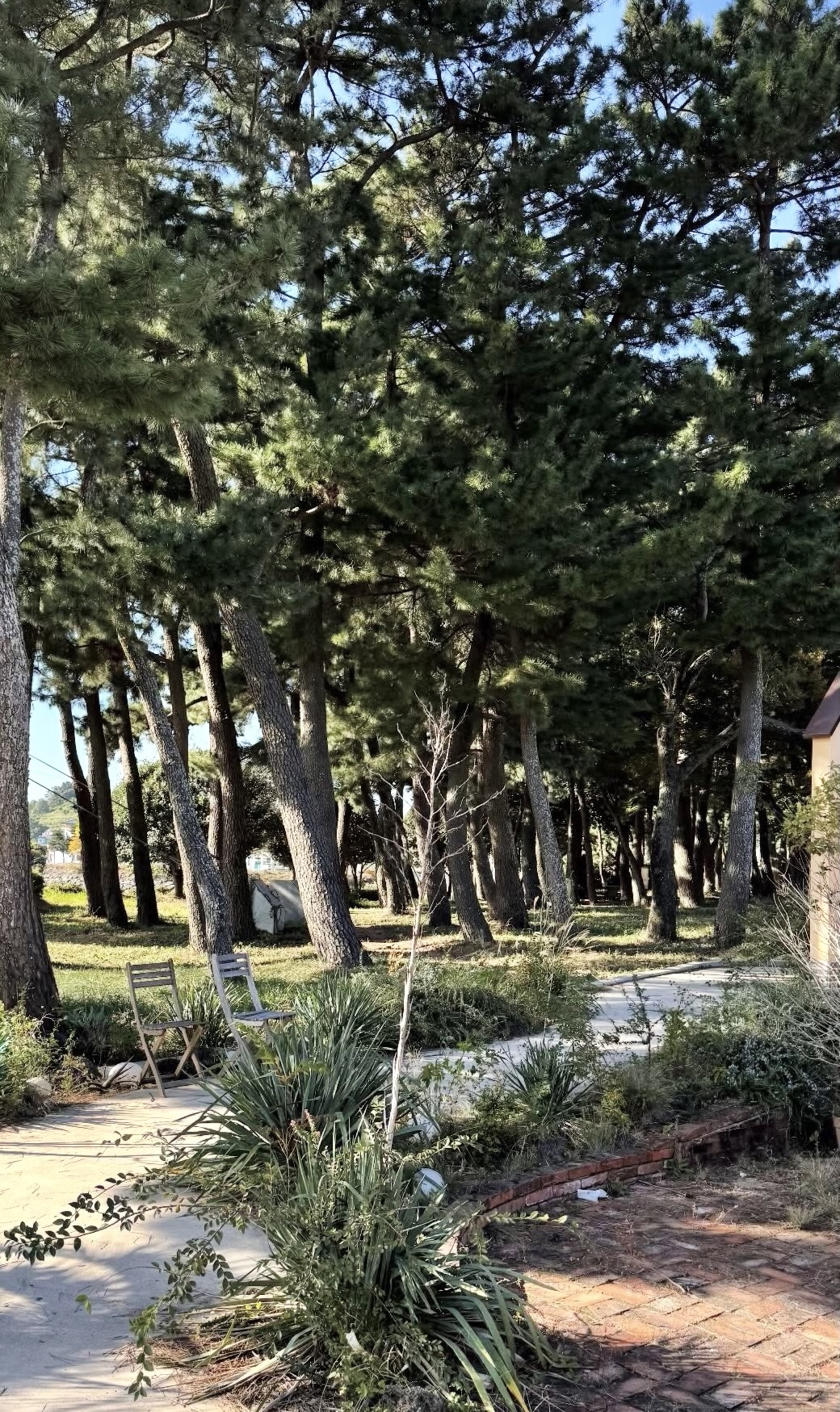 남해 반값여행, 숨은 명소 대공개 보리암 포함 인생코스 정리 관련사진