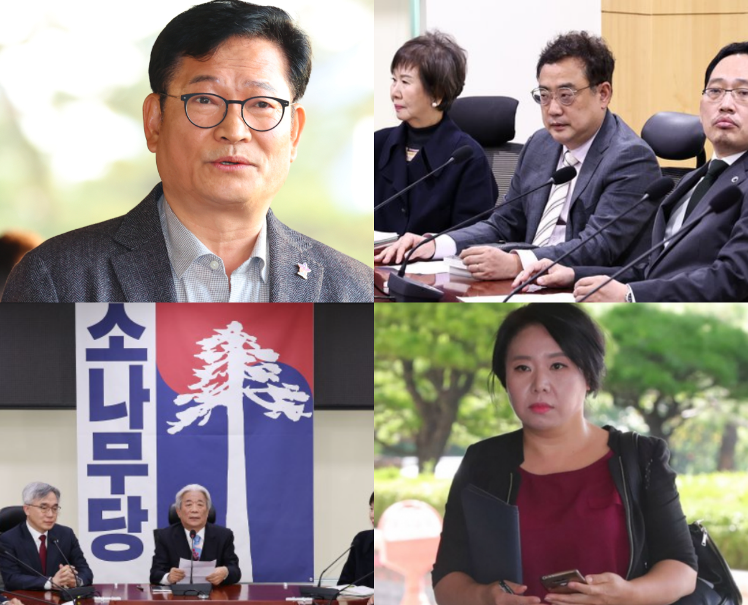소나무당 비례대표 순번