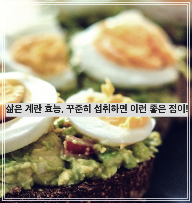 삶은 계란 효능, 꾸준히 섭취하면 이런 좋은 점이!