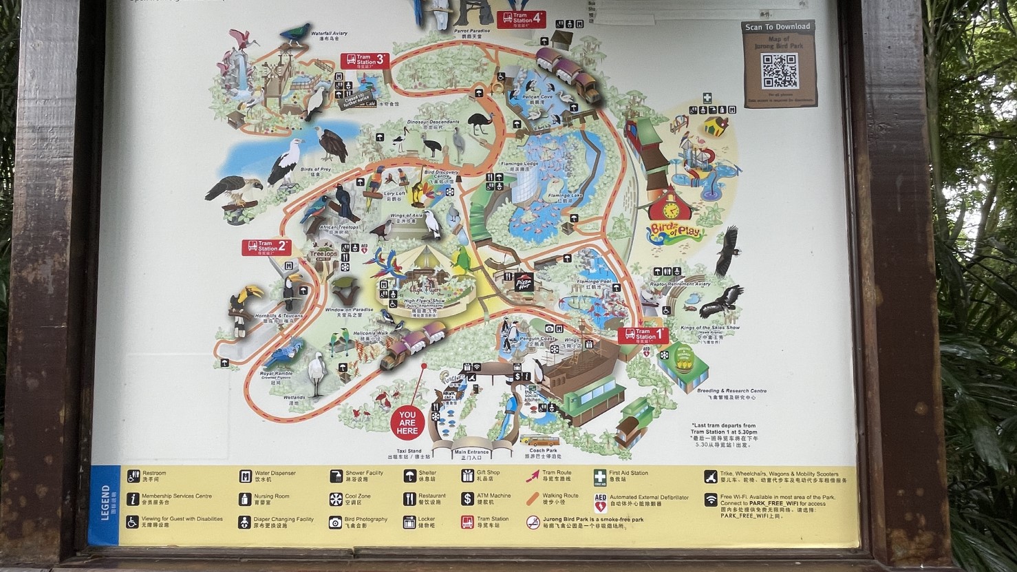 주롱 새 공원 Jurong Bird Park