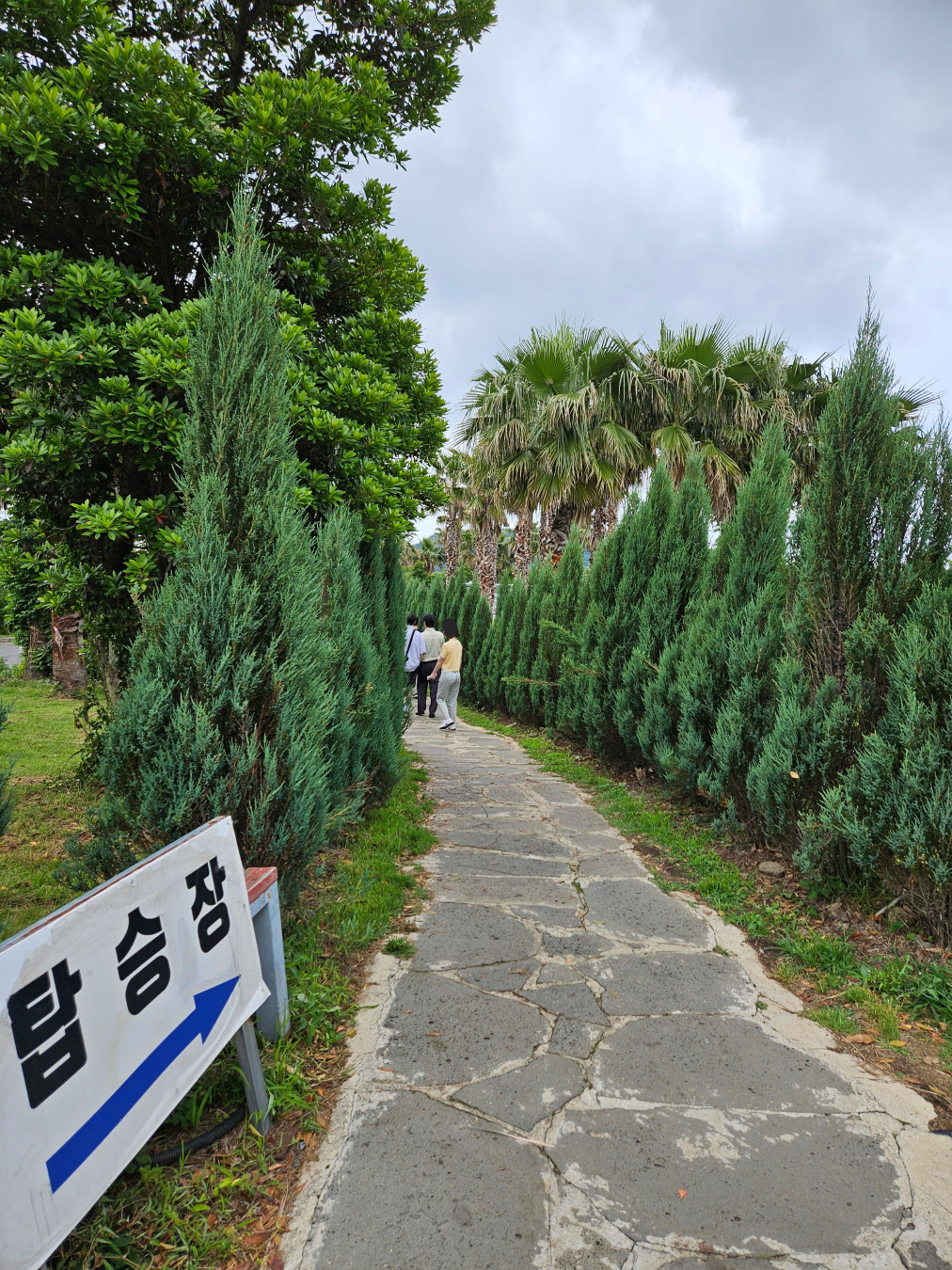 윈드 1947 탑승장 가는길