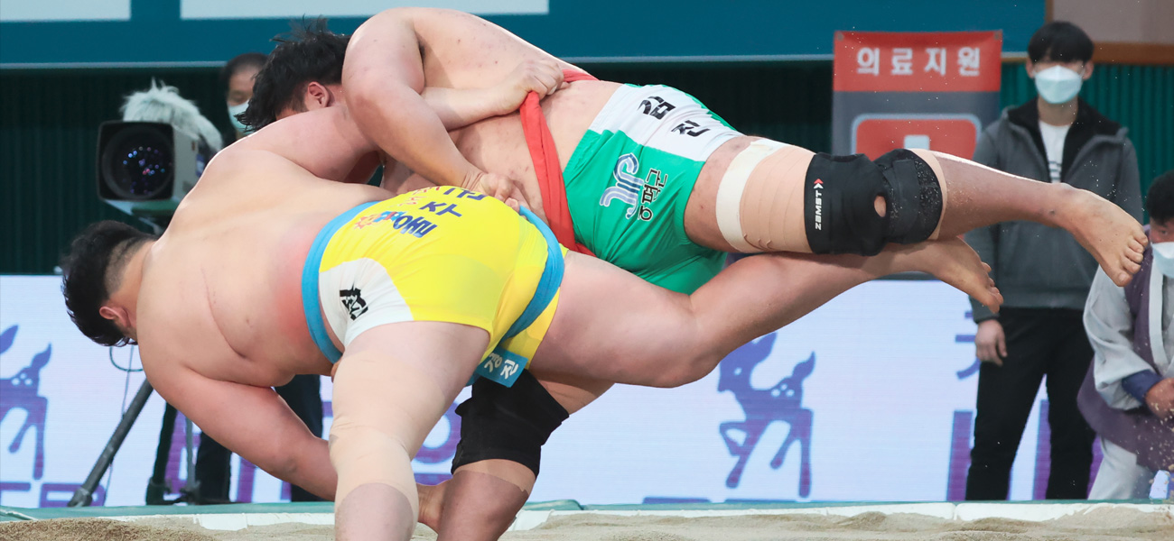 증평 인삼골 축제