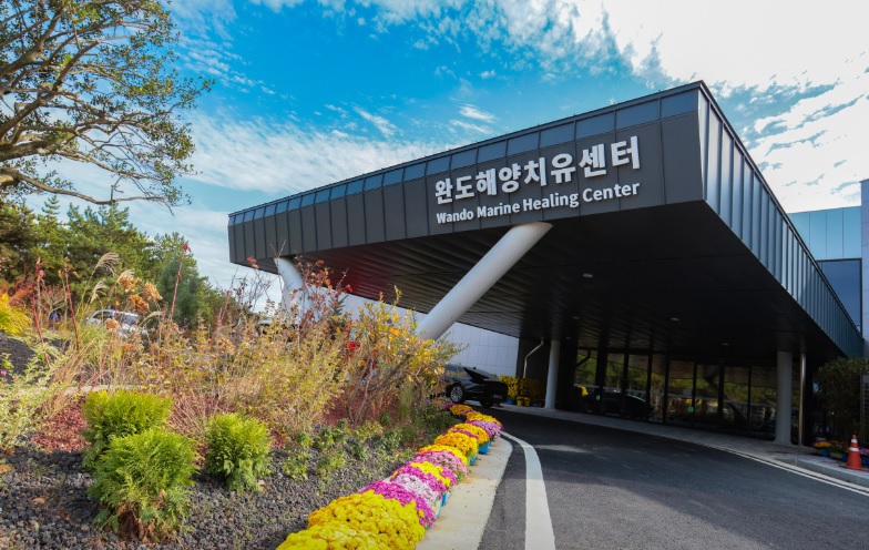 6시 내고향 완도 백반 맛집 만선식당