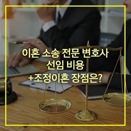 이혼소송 전문 변호사 선임 비용 조정이혼 장점