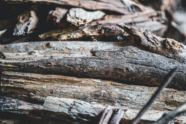 전세보증금 반환대출 4