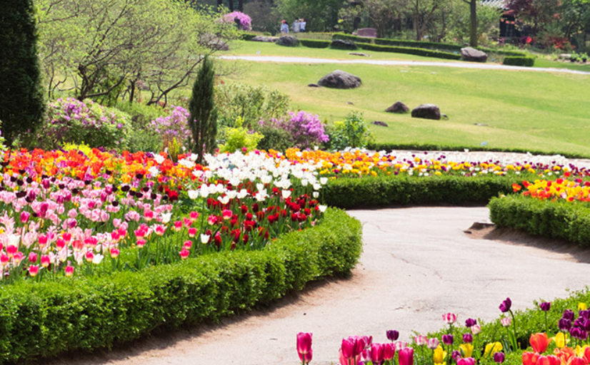 가평 아침고요수목원