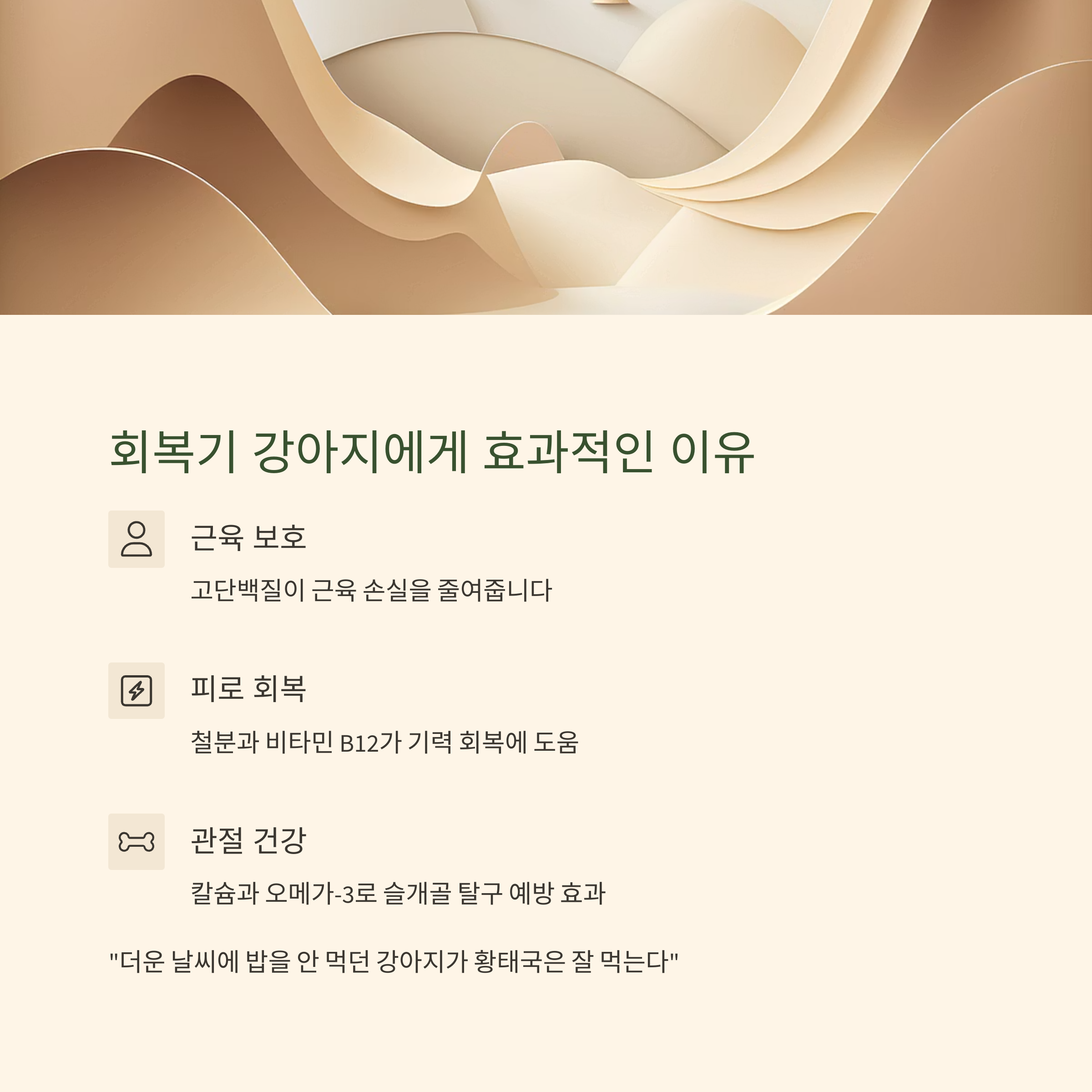 회복기 강아지에게 효과적인 이유