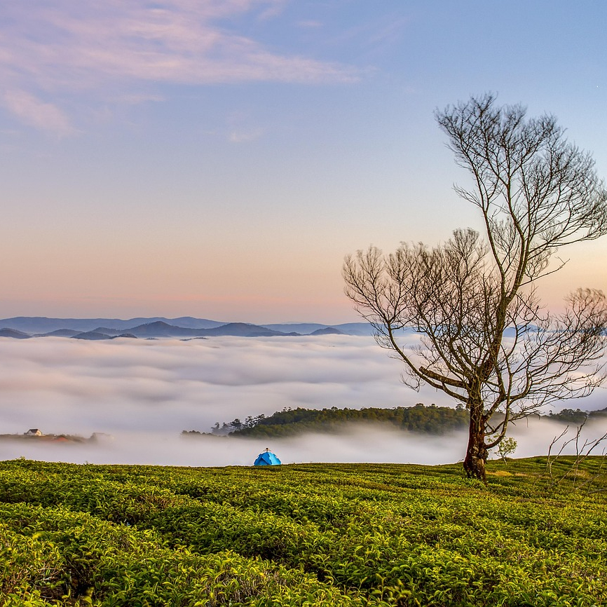 대장내시경 비용 분석