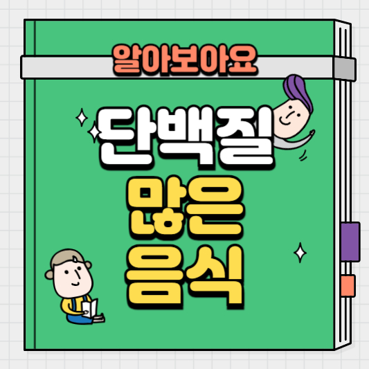 단백질많은음식