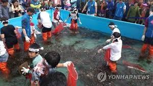 2024 완도 장보고 수산물 축제 기본정보와 프로그램 및 특징 소개 양지은 딘딘 브브걸 송미눈 황가림 슬리피 노디시카 키디비 브레이브 걸스 출연