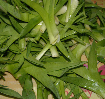 공심채 효능 부작용 고르는법 칼로리 다연채 모닝글로리