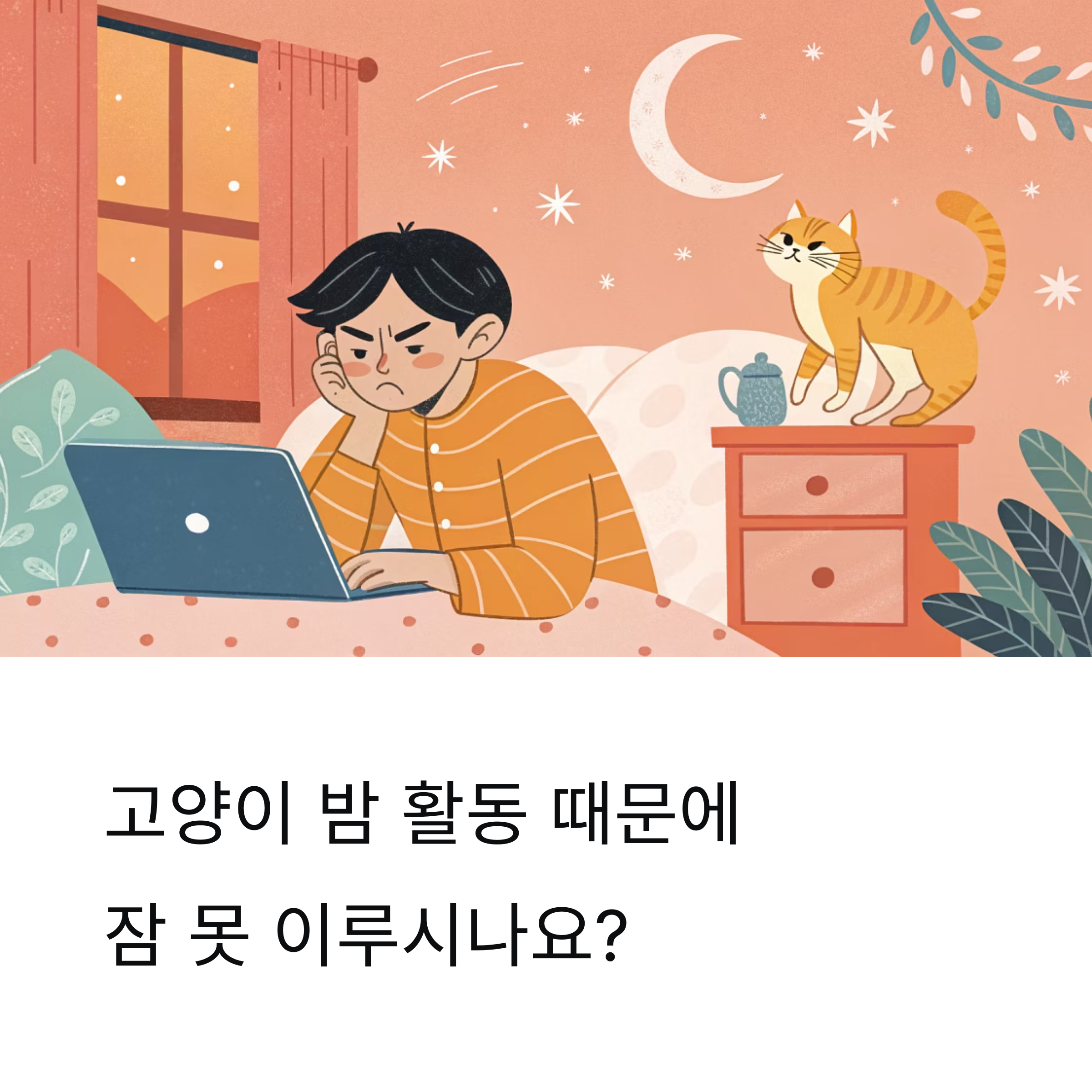 고양이 야행성 습관, 야간활동 조절법 총정리