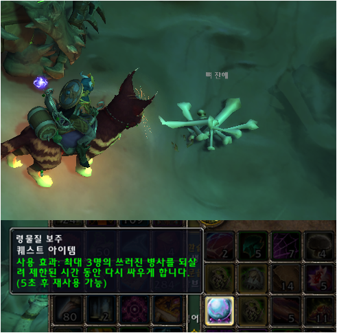 령물질 보주와 뼈 잔해