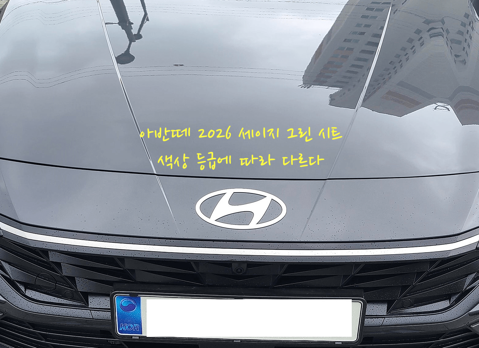 아반떼 2026 세이지 그린 시트