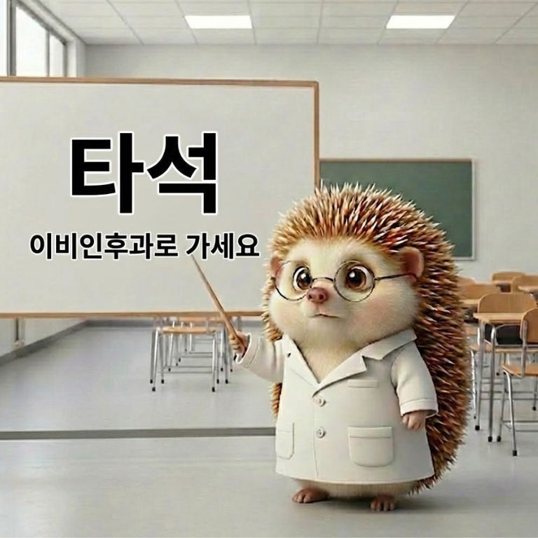 타석이 생기면 이비인후과로 가라는 것을 설명하는 도치씨 모습