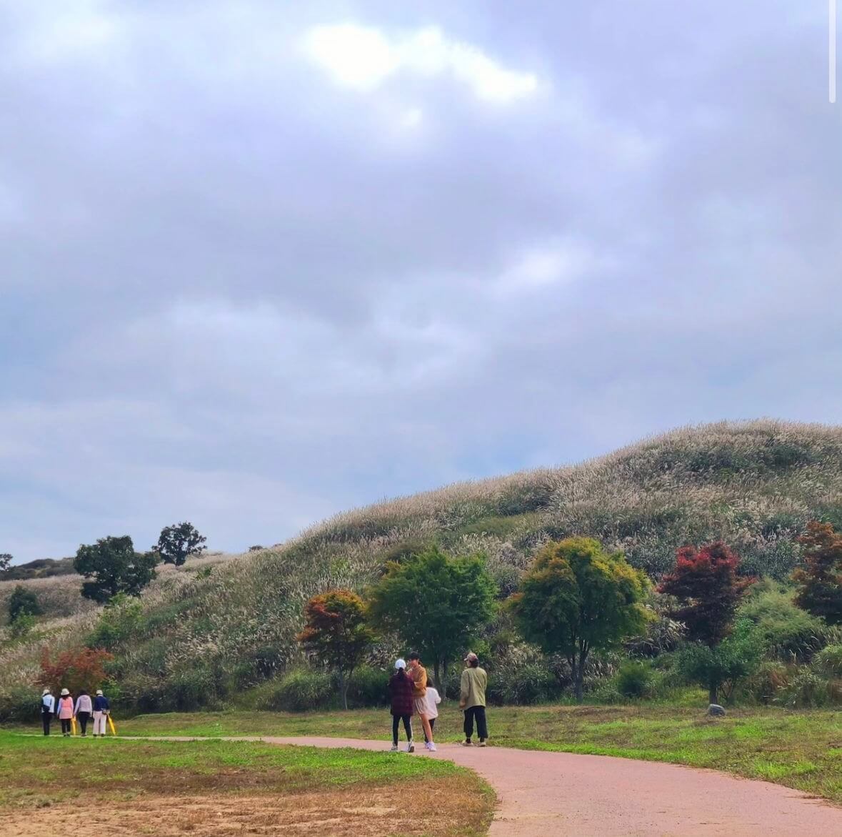 황매산 억새축제기간