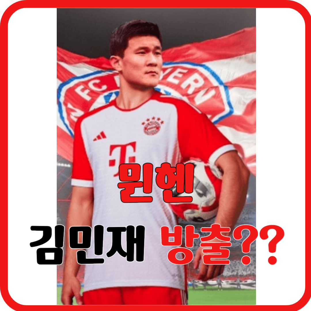 뮌헨 김민재 방출