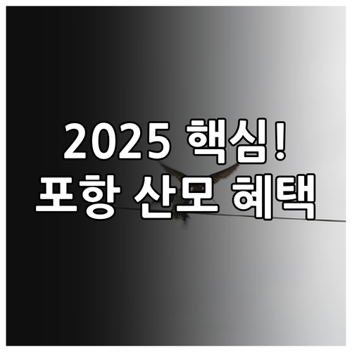 포항 산모신생아 건강관리 바우처 20..