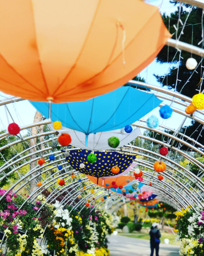 2023 함평나비축제