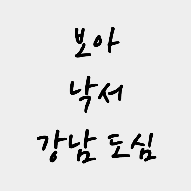 강남 보아 낙서 내용 논란