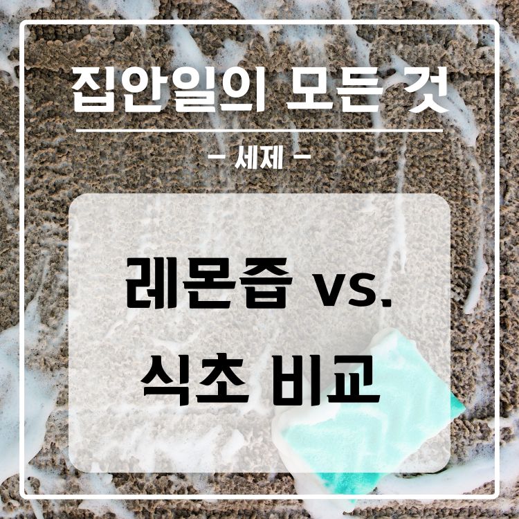 식초, 레몬즙 성분 효과 안전성 비교