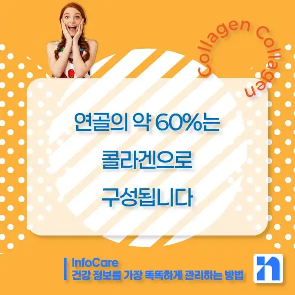 콜라겐의 효능과 복용방법