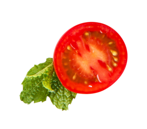 토마토