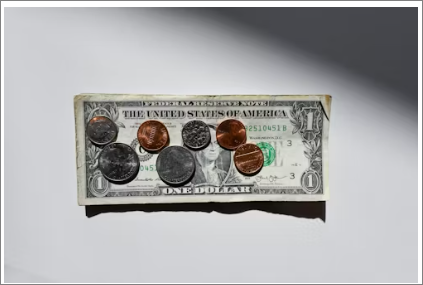 취업 활동 지원금