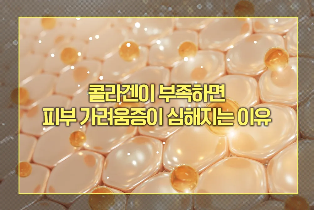 콜라겐이 부족하면 피부 가려움증이 심해지는 이유