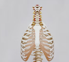 목 디스크 진단 기준 치료법 예방법