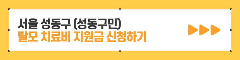 성동구 탈모치료비 지원