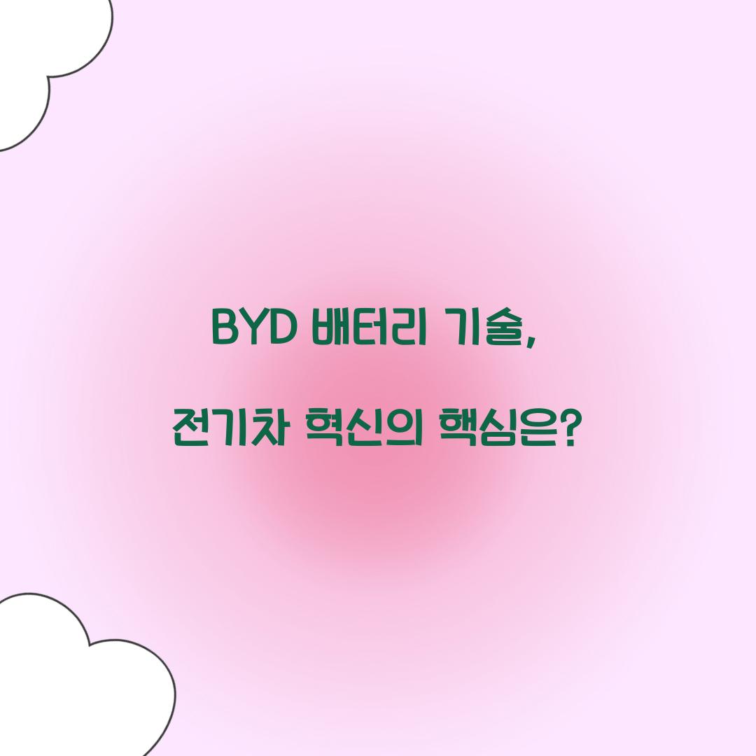 BYD 배터리 기술