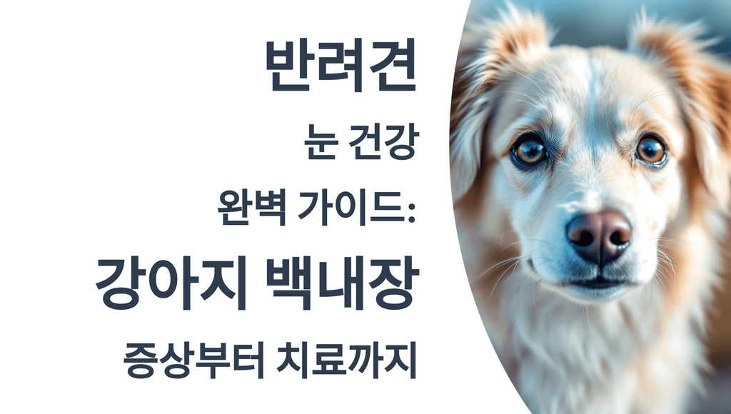 반려견 눈 건강 완벽 가이드: 강아지 백내장 증상부터 치료까지 (2025년 최신판)
