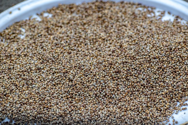 고지혈증에 좋은 음식