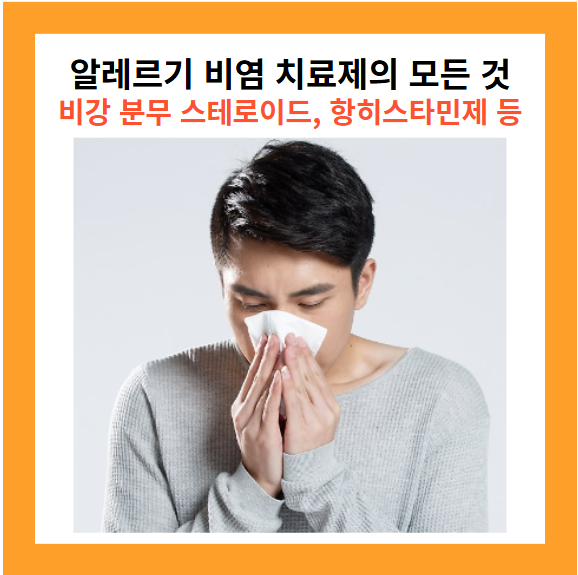 알레르기 비염 치료제1