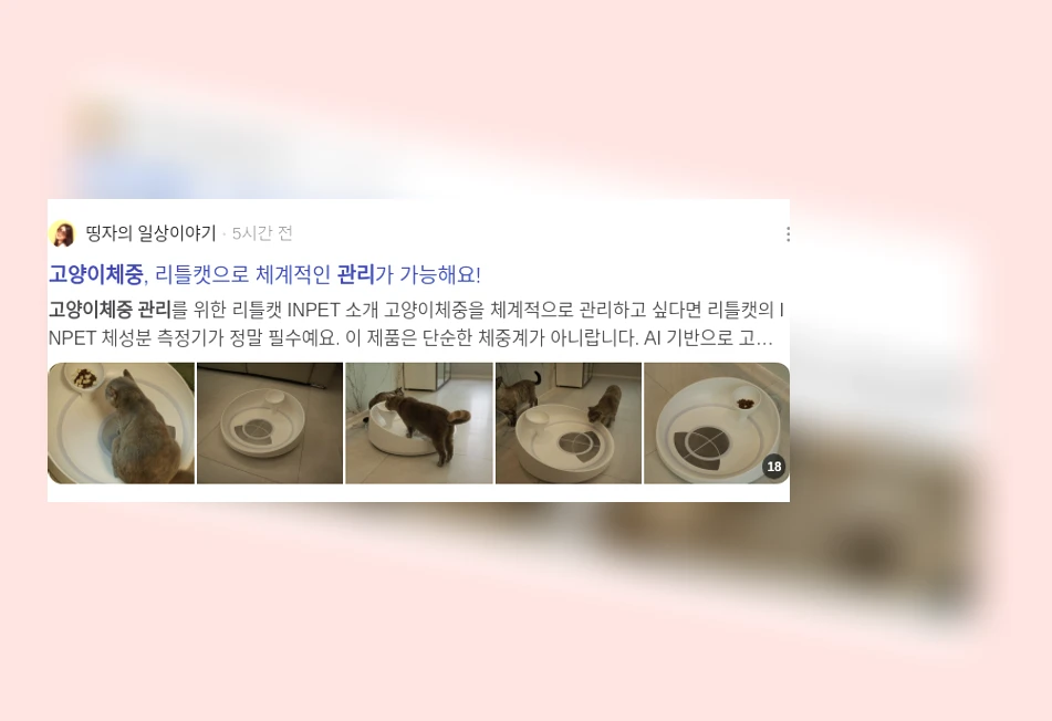 고양이 체중 관리_2_subsection