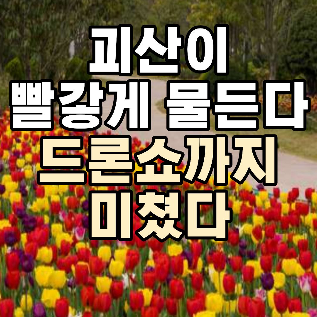 괴산 빨간맛 페스티벌 2026 일정 드론쇼 불꽃놀이 가수 정보