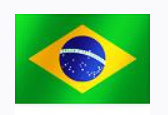 알트태그-브라질 국기