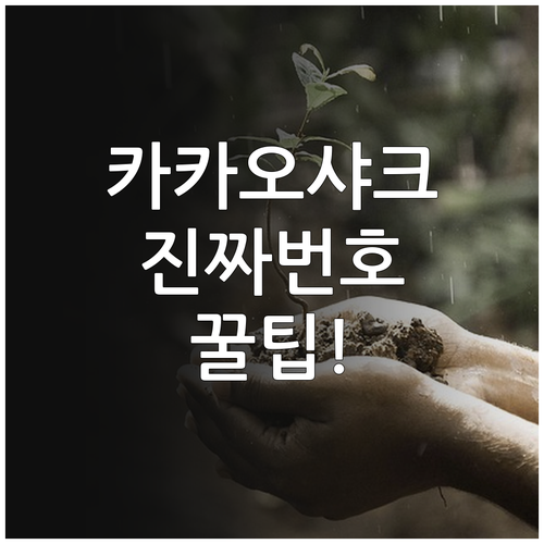 카카오샤크 고객센터 전화번호 대체 연..