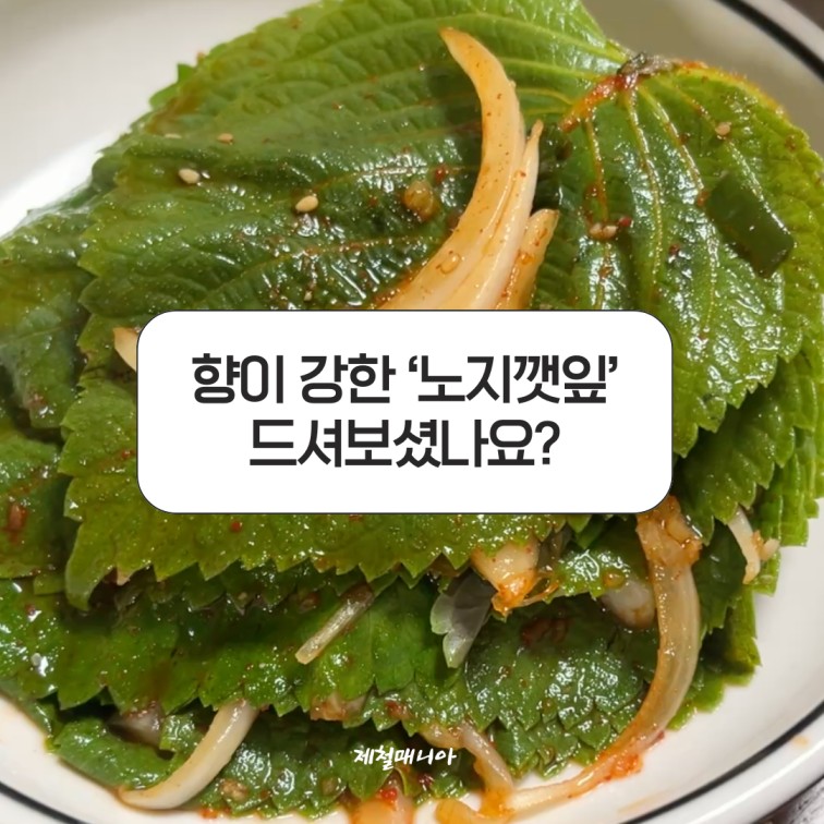 노지깻잎