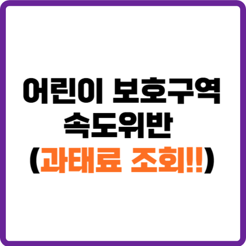 어린이 보호구역 속도위반 과태료 조회
